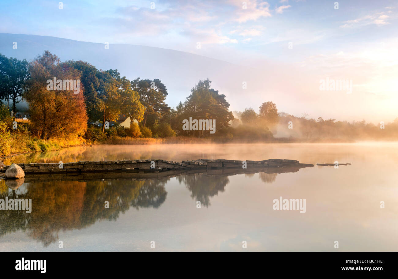 Dämmerlicht nur brechen durch den Nebel auf die Bäume am Ufer des Loch Ard am Kinlochard Leuchten Stockfoto