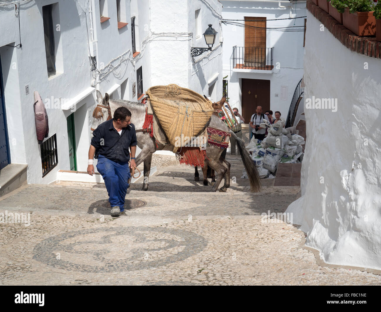 Esel tragen Baustoffe in engen Gassen. Frigiliana ein weisses Dorf in der Nähe von Nerja, Costa Del Sol, Andalusien, Spanien, Stockfoto