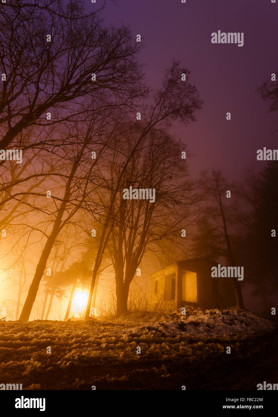 Schönes warmes Licht und Schatten im Sonnenuntergang mit Bäumen, Winter-Szene in Griechenland Stockfoto