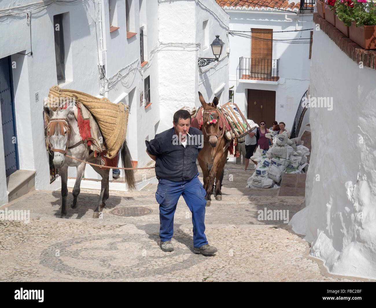 Esel tragen Baustoffe in engen Gassen. Frigiliana ein weisses Dorf in der Nähe von Nerja, Costa Del Sol, Andalusien, Spanien, Stockfoto