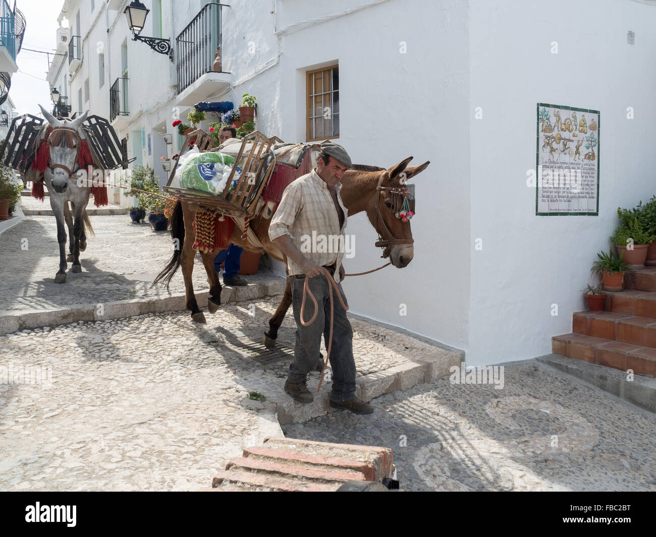 Esel tragen Baustoffe in engen Gassen. Frigiliana ein weisses Dorf in der Nähe von Nerja, Costa Del Sol, Andalusien, Spanien, Stockfoto