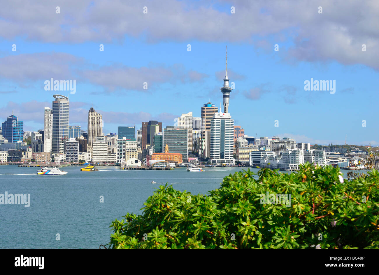Auckland City der ikonische Blick von der Nordseite des Hafens bei Queens Parade, Devonport, Auckland, Neuseeland Stockfoto