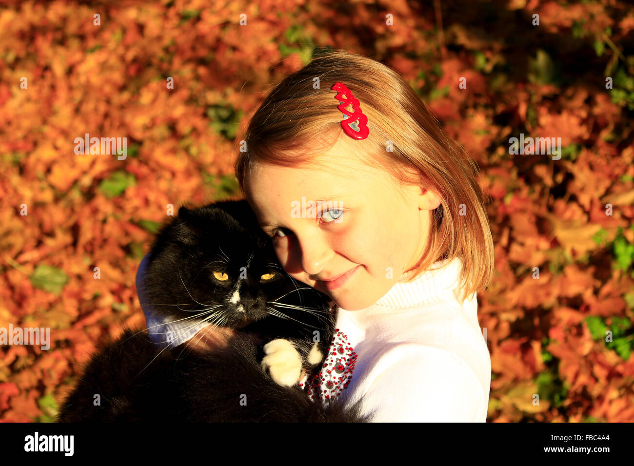 kleines Mädchen umarmen mit ihrer schwarzen Katze im Herbst Stockfoto