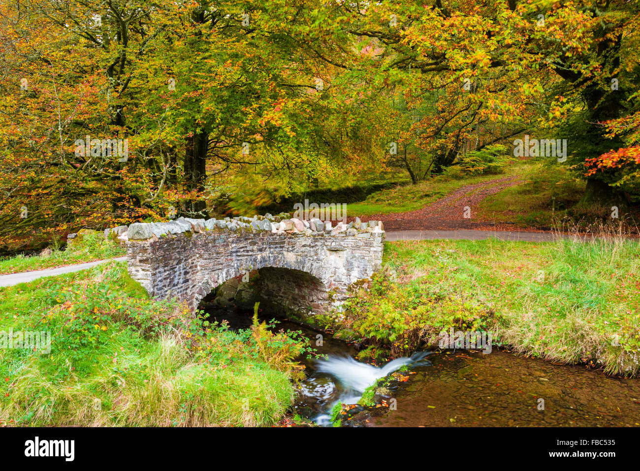 Räubers Brücke über Oare Wasser im Exmoor National Park in der Nähe von Oareford, Somerset, England Stockfoto