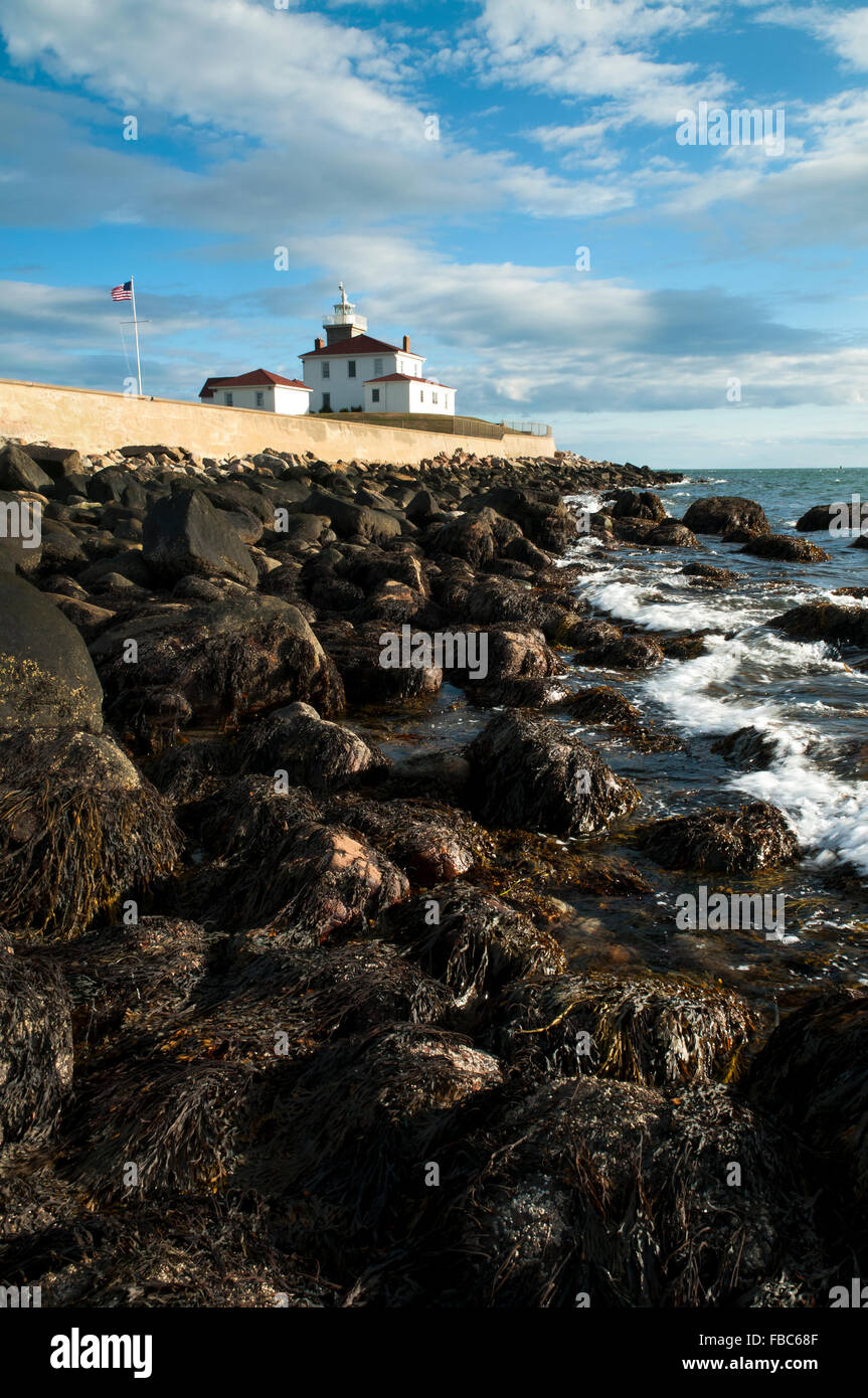 Ebbe mit felsigen Wellenbrecher mit Algen entlang der Ufermauer, historischen Watch Hill Lighthouse in Rhode Insel umgibt. Stockfoto