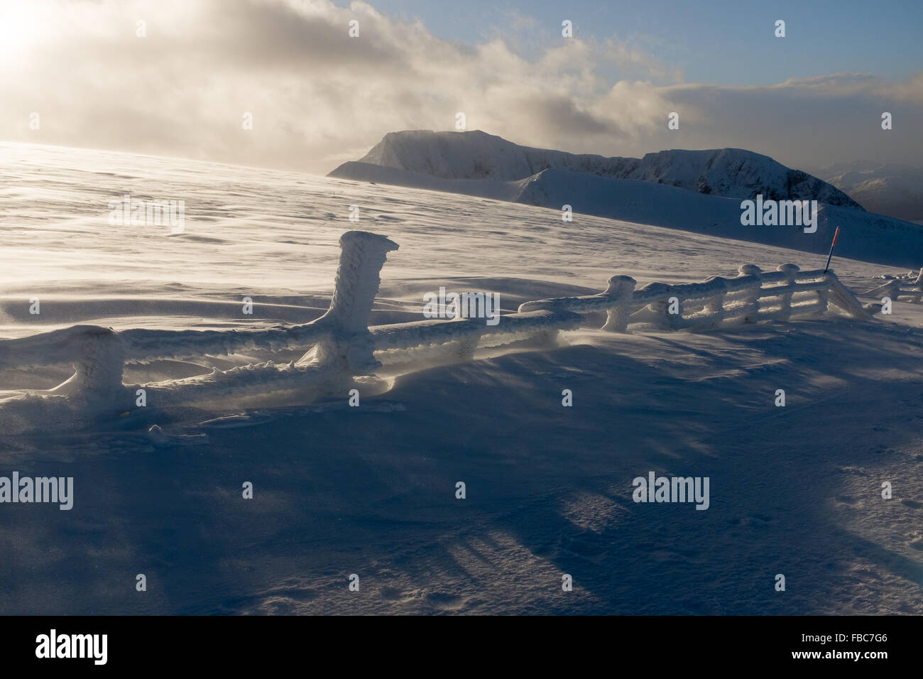 Fort William, Großbritannien. 14. Januar 2016. Tolle Schneeverhältnisse an der Spitze der Nevis reichen Fort William - mit blauem Himmel und öffnen Unpisted Neuschnee Credit: Kenny Ferguson/Alamy Live News Stockfoto