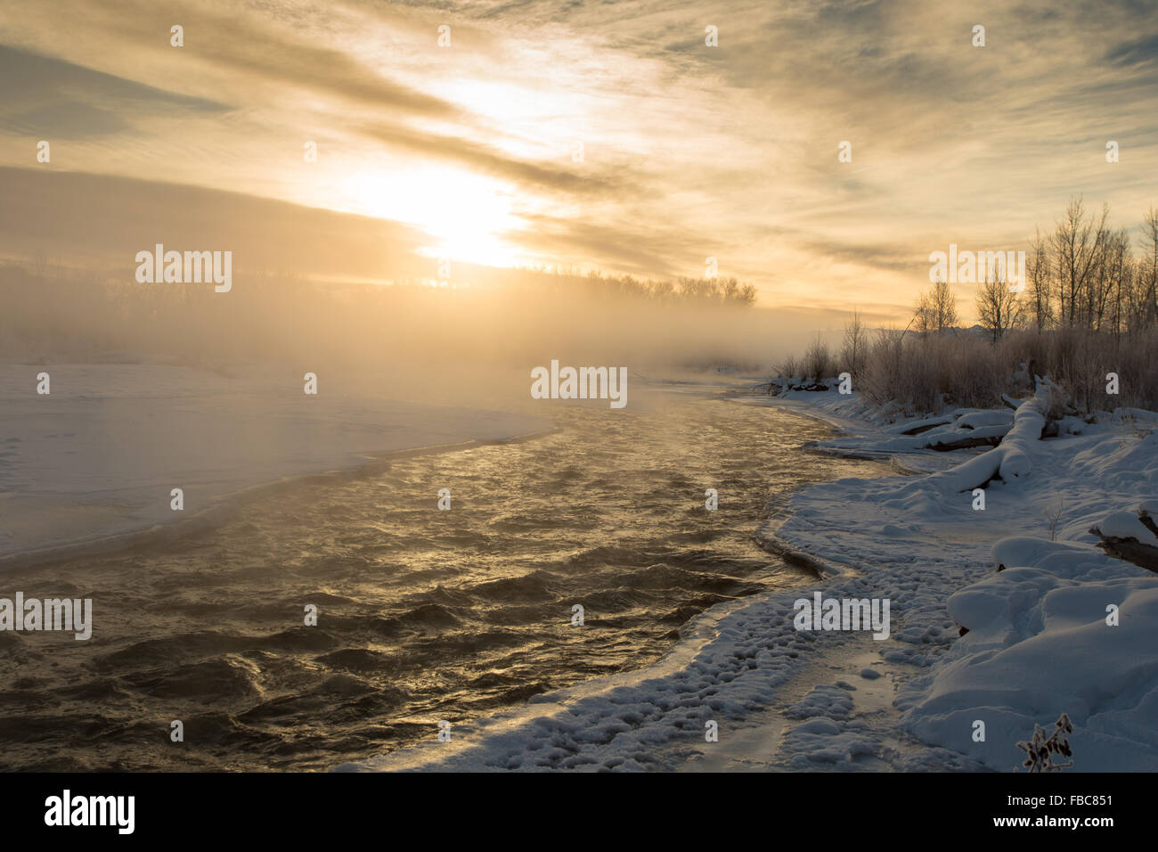 Winter-Sonnenaufgang mit Nebel steigt vom Fluss Gallatin in Belgrad, Montana. Stockfoto