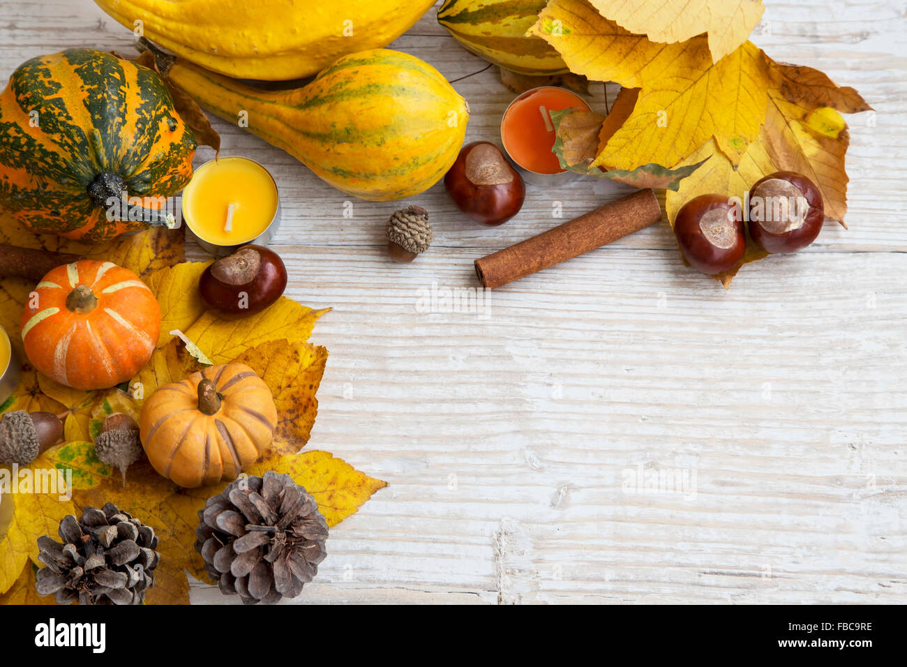 Herbst-Rahmen-Dekoration auf lackiertem Holz mit Kürbissen, Kastanien, Eicheln, Zimt und Kerzen Stockfoto