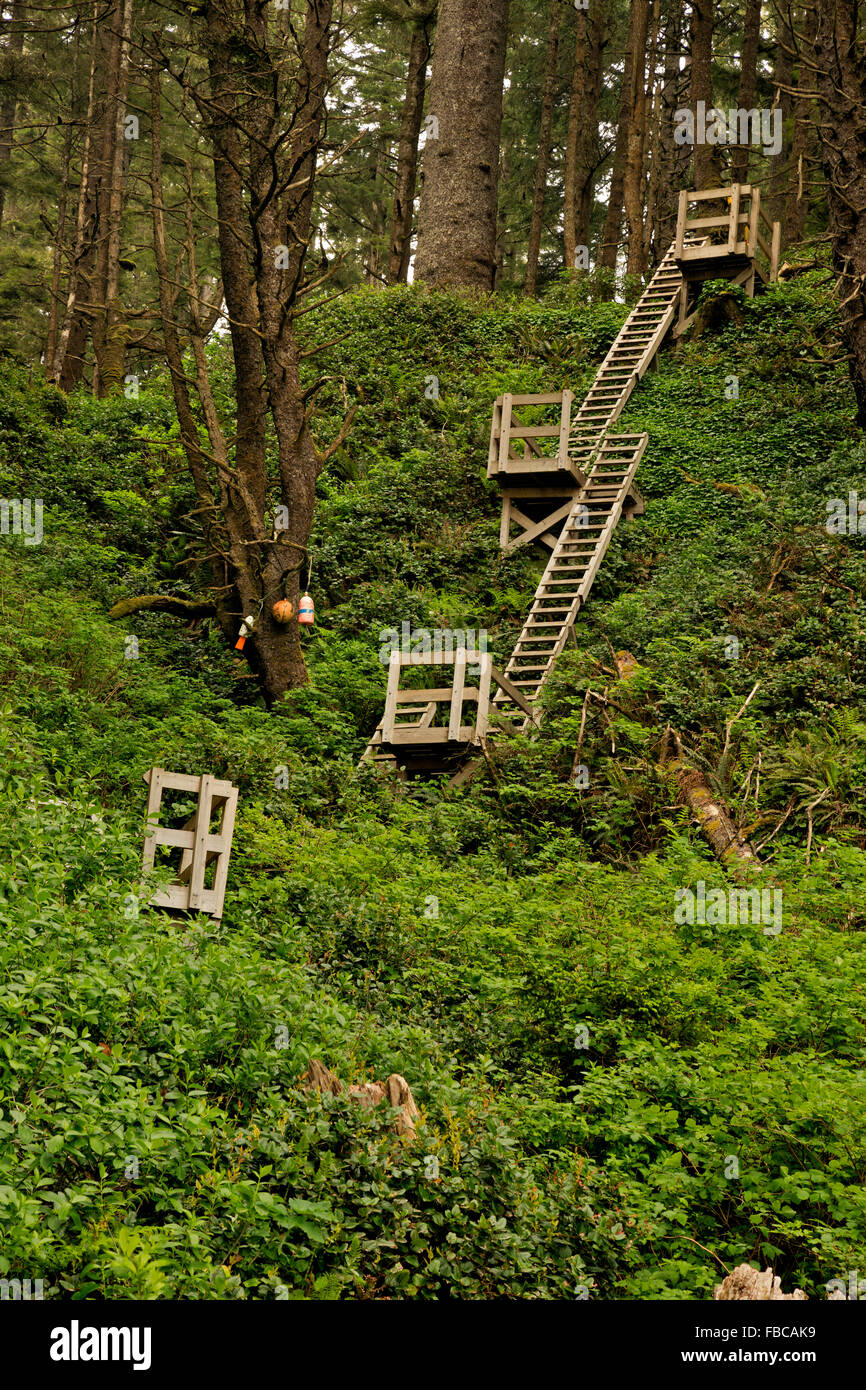 BRITISH COLUMBIA - Leitern helfen Wanderern Zugang zum Strand und den Tsusiat Falls Campingplatz auf der Vancouver-Insel West Coast Trail Stockfoto