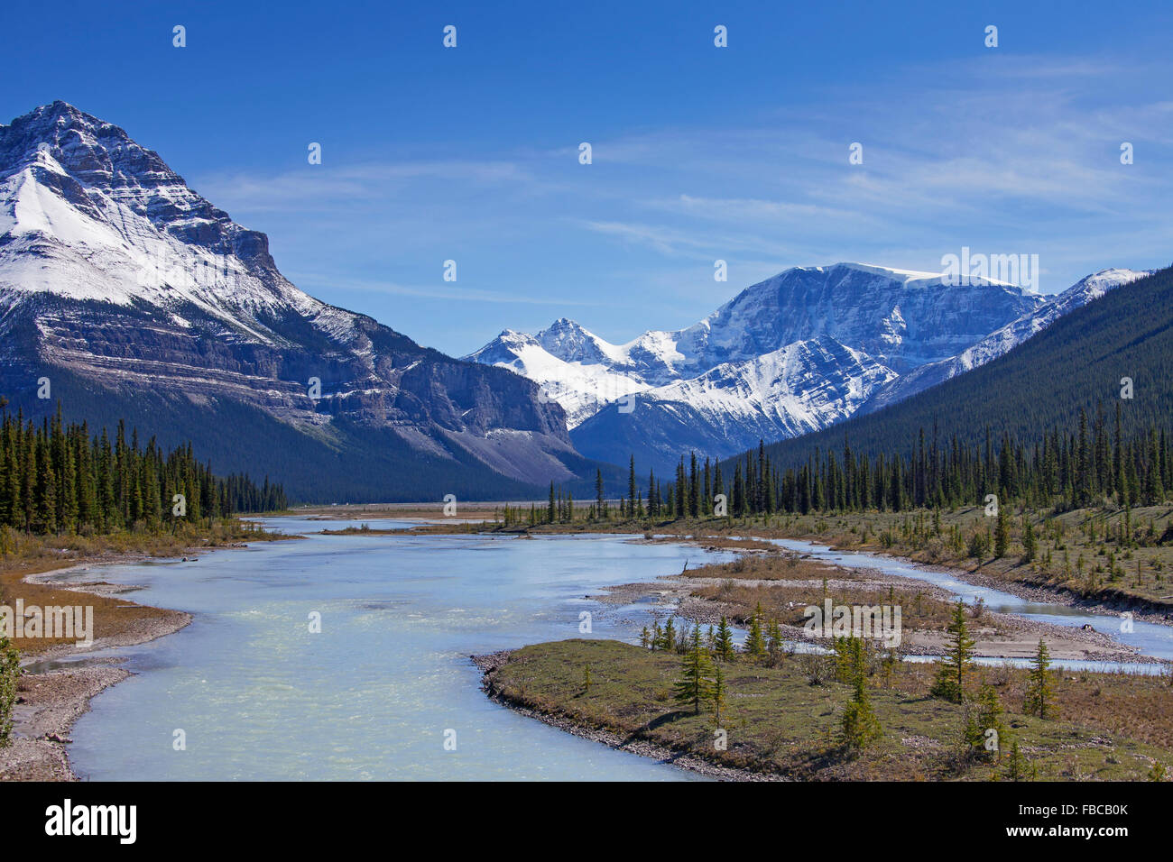 Athabasca River mit Glazial-Schmelzwasser mit Steinmehl vor Rocky Mountains, Jasper Nationalpark, Alberta, Kanada Stockfoto
