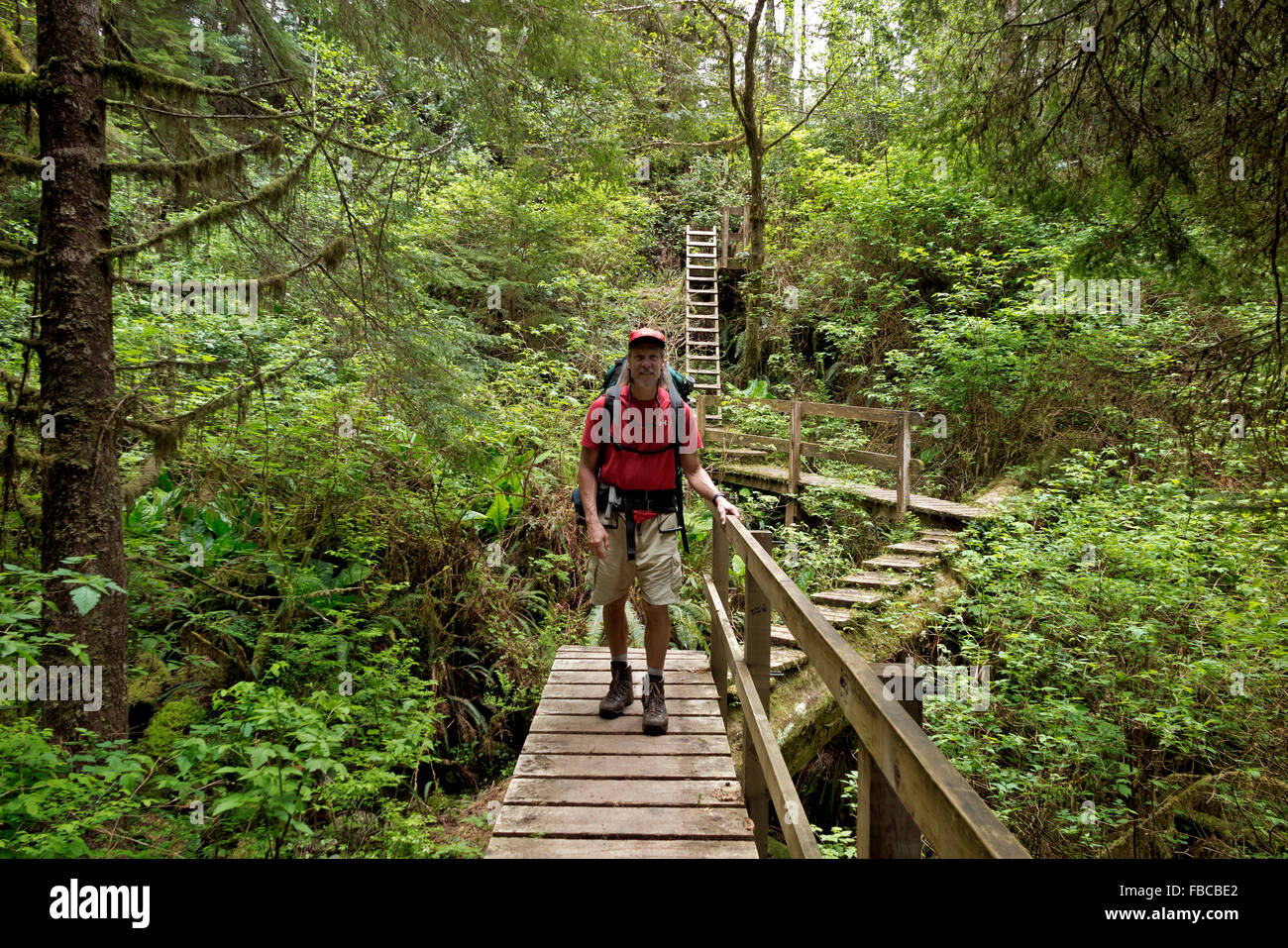 Britisch-Kolumbien - in der Nähe von Wanderer über ein sumpfiges Gebiet mit Leiter, Brücken und die Promenade der Pachena Zugang zum West Coast Trail Stockfoto