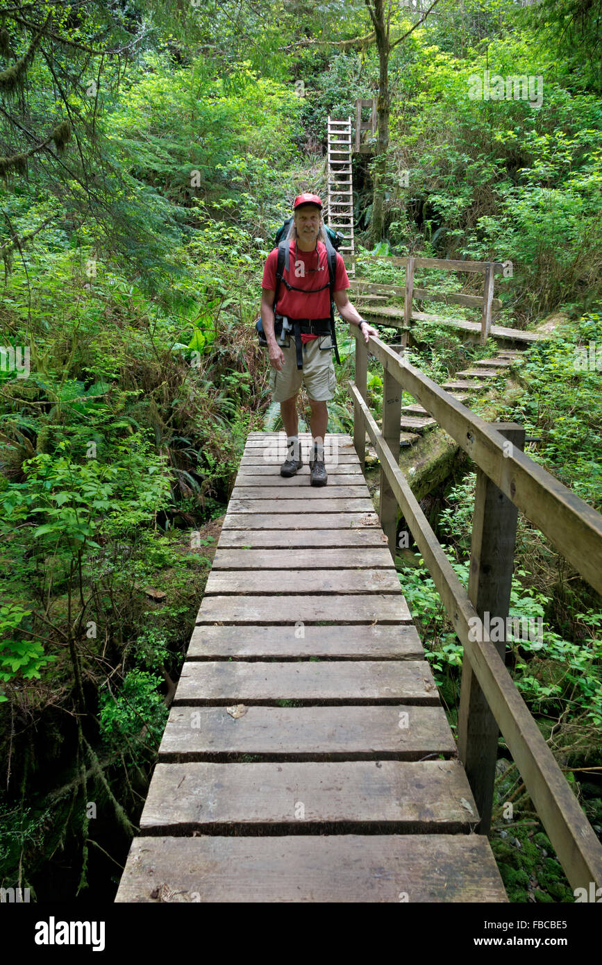 Britisch-Kolumbien - in der Nähe von Wanderer über ein sumpfiges Gebiet mit Leiter, Brücken und die Promenade der Pachena Zugang zum West Coast Trail Stockfoto