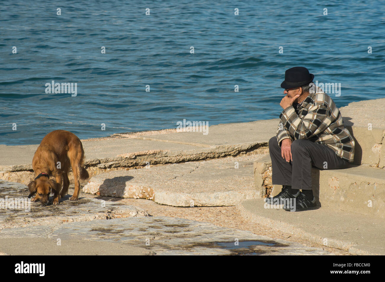 reifer Mann sitzt auf einem konkreten Schritt mit seinem Hund am Meer Stockfoto