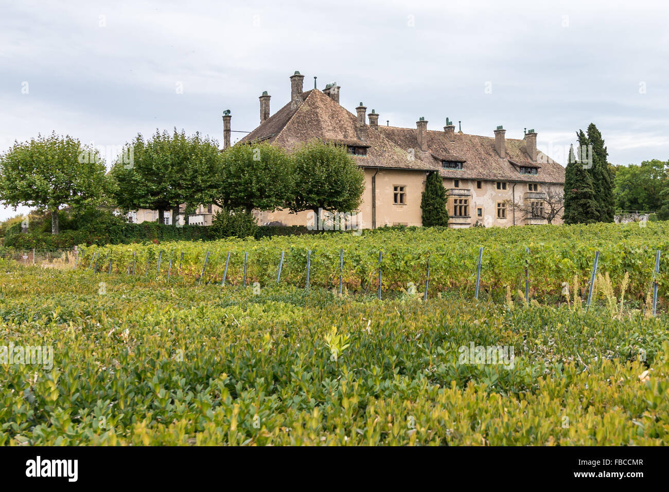 Chateau de Ripaille in Thonon-Les-Bains in Frankreich Stockfoto