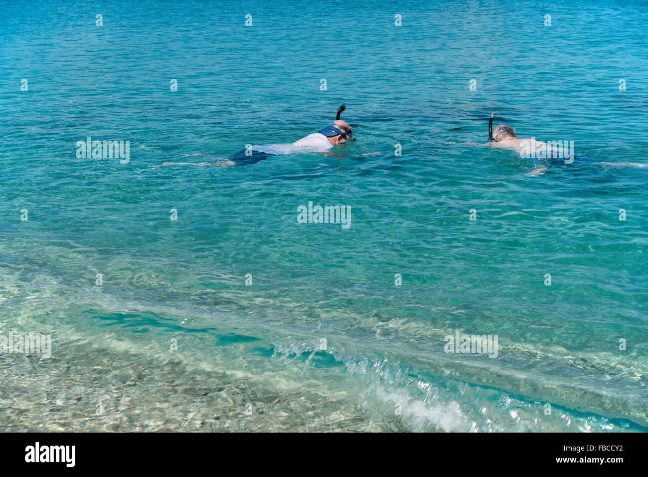 Zwei Männer, ein Schwiegervater und Schwiegersohn Schnorcheln in der Karibik vor St. Croix, Amerikanische Jungferninseln zusammen. Stockfoto