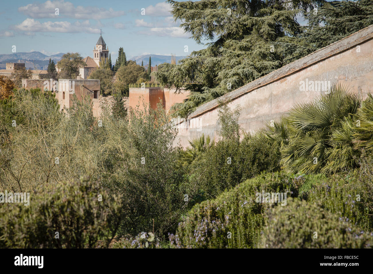 Die Alhambra in Granada Spanien aus einem ungewöhnlichen Blickwinkel. Stockfoto