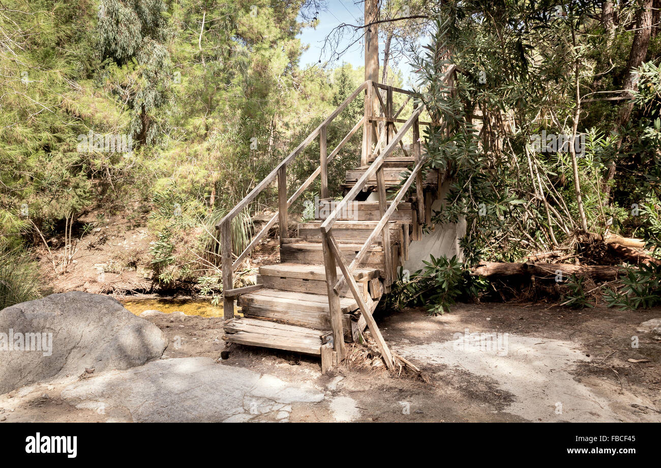 Alten verwitterten Treppenanlage im griechischen Wald auf der Insel Kos Stockfoto