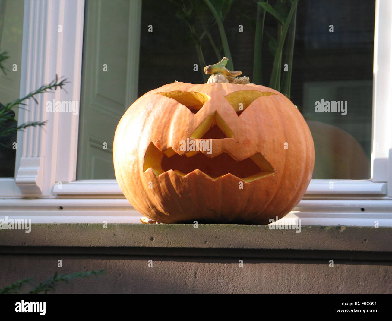Halloween-Kürbis auf einem Fensterbrett Stockfoto