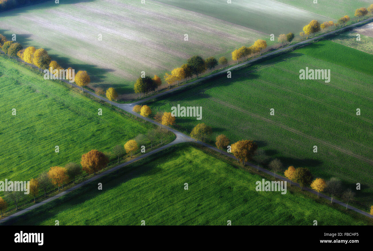 Luftbild Allee, unbefestigte Straßen, Kreuzungen, Crossover, Herbst Wiederbelebung, Herbstlaub, Landwirtschaft, Felder, Stockfoto