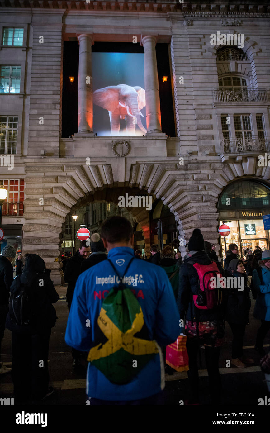 London, UK. 14. Januar 2016. Eléphantastic! von Topla-Design in der Regent Street - Lumiere London: die "größte" Lichterfest, das Kapital zu schlagen.  Produziert von Artischocke und unterstützt durch den Bürgermeister von London für vier Abende im Januar eine Vielzahl von internationalen Künstlern die Stadt von 18:30 bis 22:30 jede Nacht beleuchten.  Architektur als Wahrzeichen wurde mit 3D Projektionen, interaktive Installationen und anderen außergewöhnlichen Lichtarbeiten verwandelt. Bildnachweis: Guy Bell/Alamy Live-Nachrichten Stockfoto