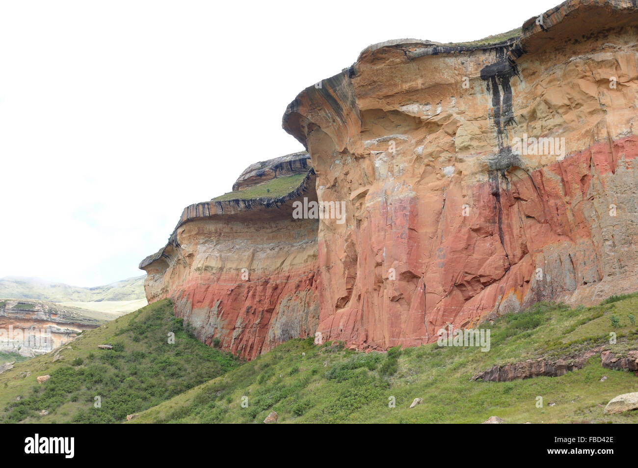 Pilz-Felsen in the Golden Gate Highlands National Park, Südafrika. Stockfoto