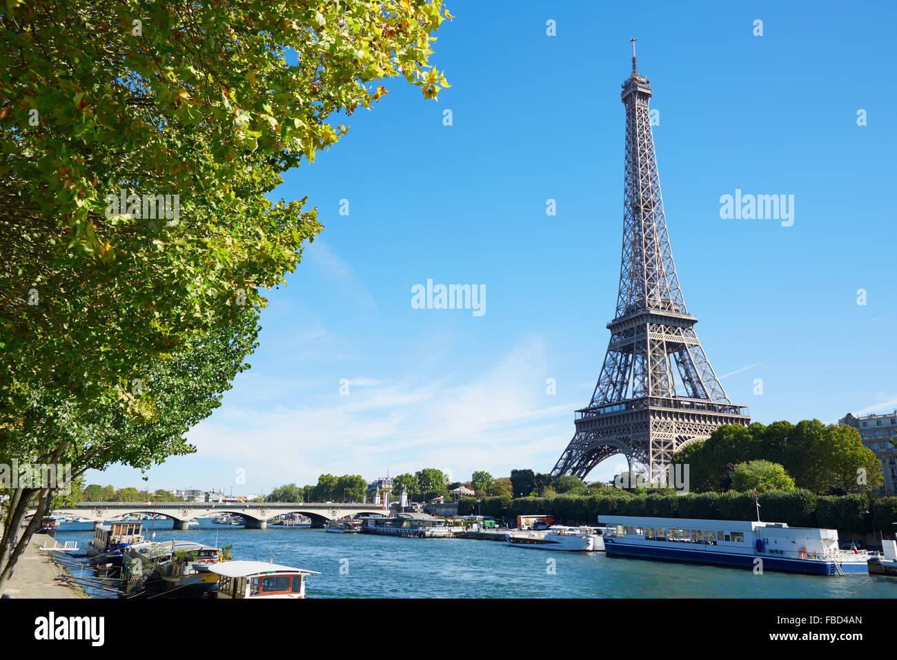 Eiffelturm und Seine Aussicht auf den Fluss mit grünen Ästen an einem sonnigen Tag in Paris Stockfoto