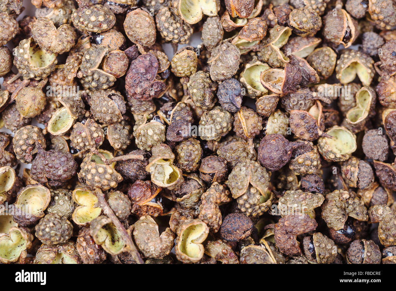 Essen-Hintergrund - getrocknet viele Hülsen von Sichuan-Pfeffer Stockfoto