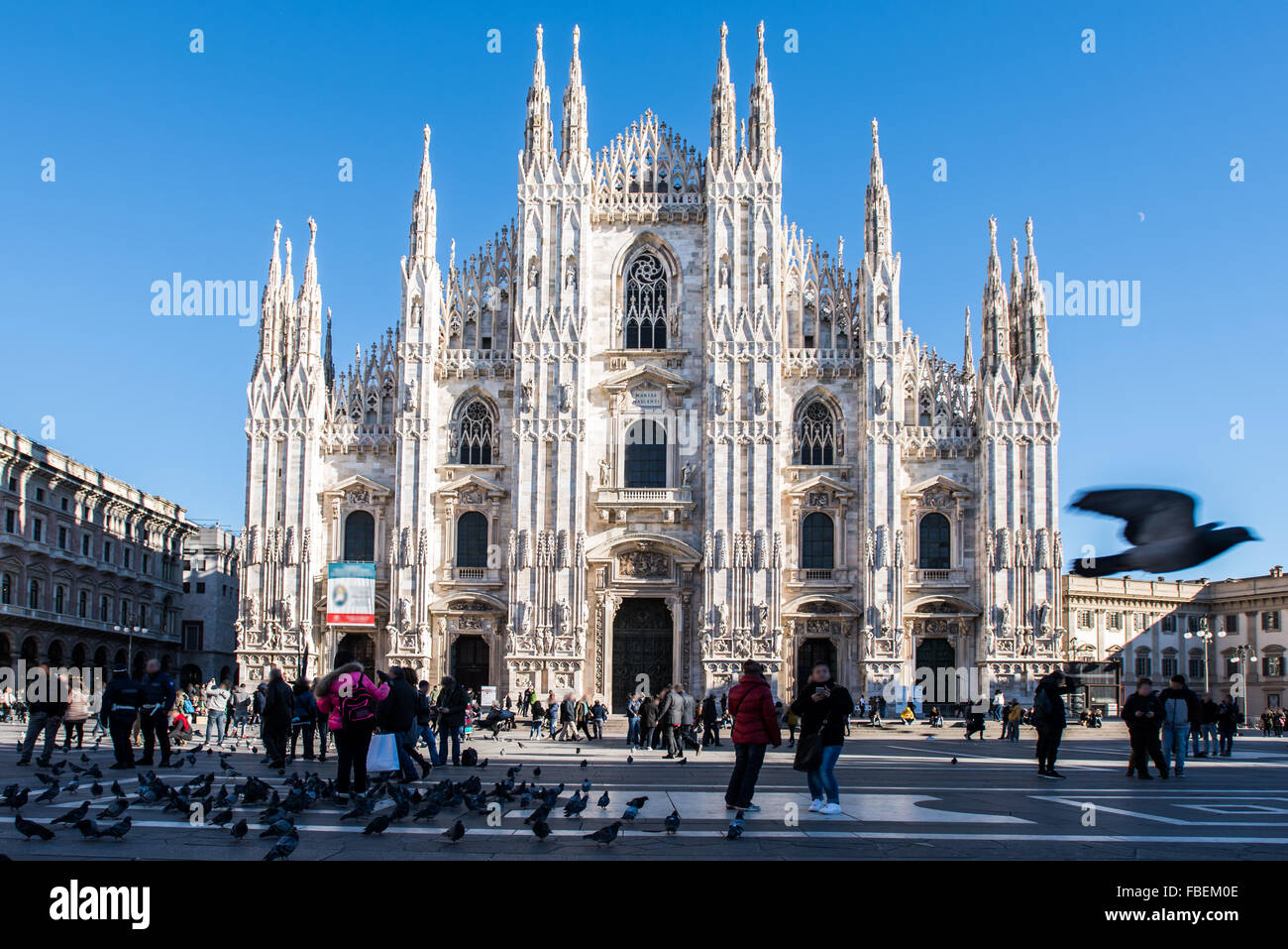 Dom in Mailand mit Menschen und eine Taube Stockfoto