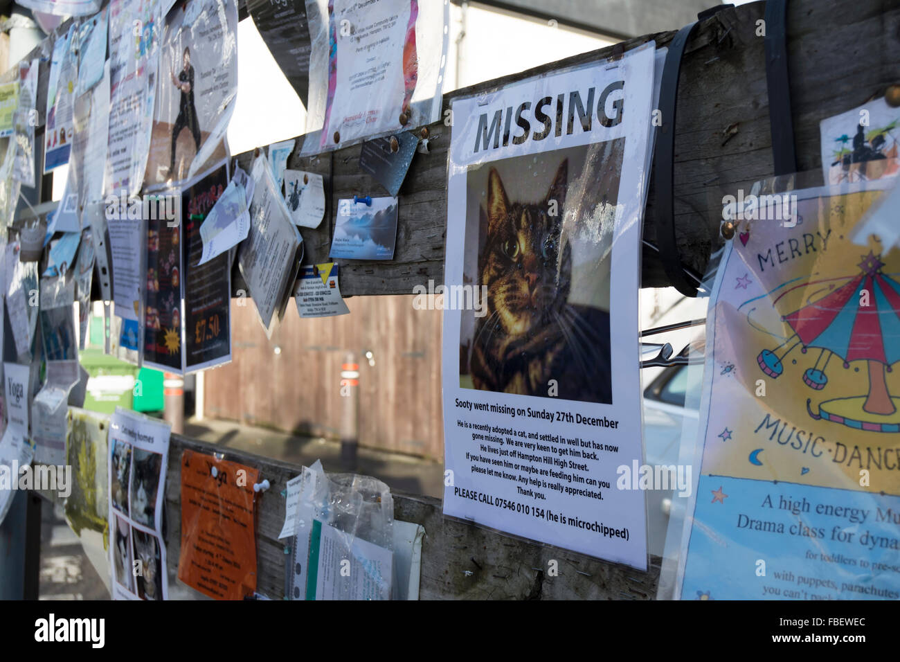 Community Pinnwand in Hampton Hill, Middlesex, england Stockfoto