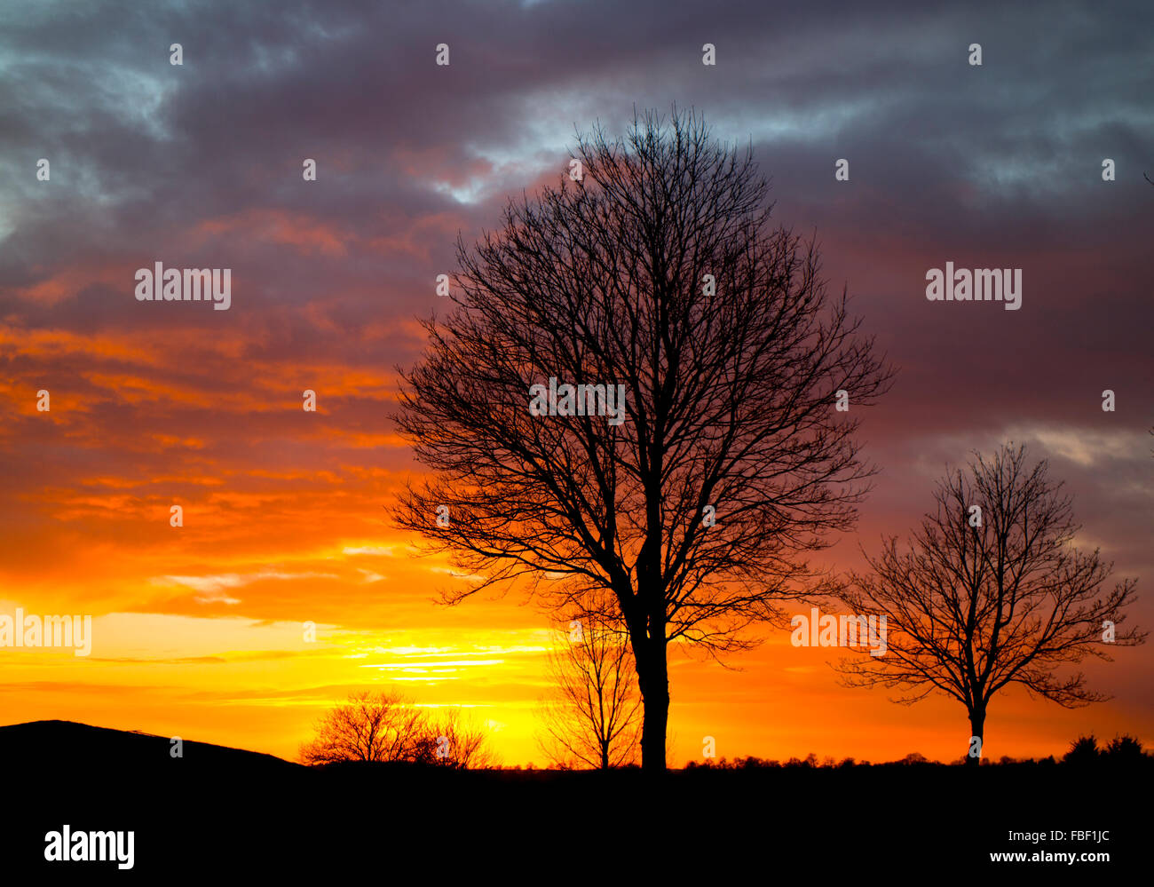 Warwick, Warwickshire, UK. 15. Januar 2016. UK Wetter: Einen dramatischen Sonnenuntergang über Warwick Rennbahn wo Matten ist, um den ganzen Kurs zum Schutz vor über Nacht Frost in Vorbereitung auf National Hunt Race Meeting am Samstag gelegt worden gesehen. Bildnachweis: Colin Underhill/Alamy Live-Nachrichten Stockfoto