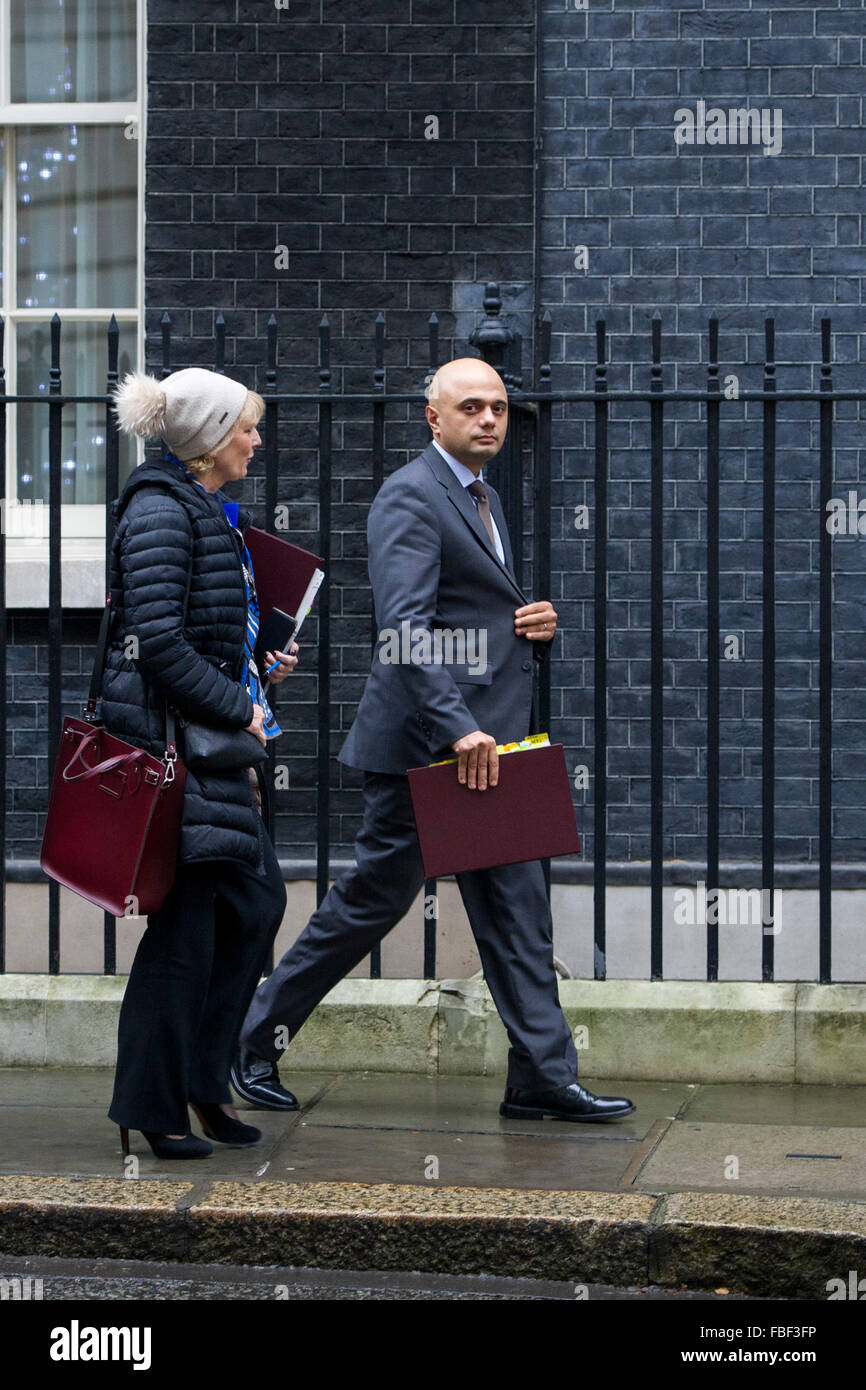 Mitglieder des Kabinetts ankommen und Abfahren von der wöchentlichen Kabinettssitzung in 10 Downing Street statt.  Mit: Anna Soubry MP und Sajid Javid MP wo: London, Vereinigtes Königreich bei: 15. Dezember 2015 Stockfoto