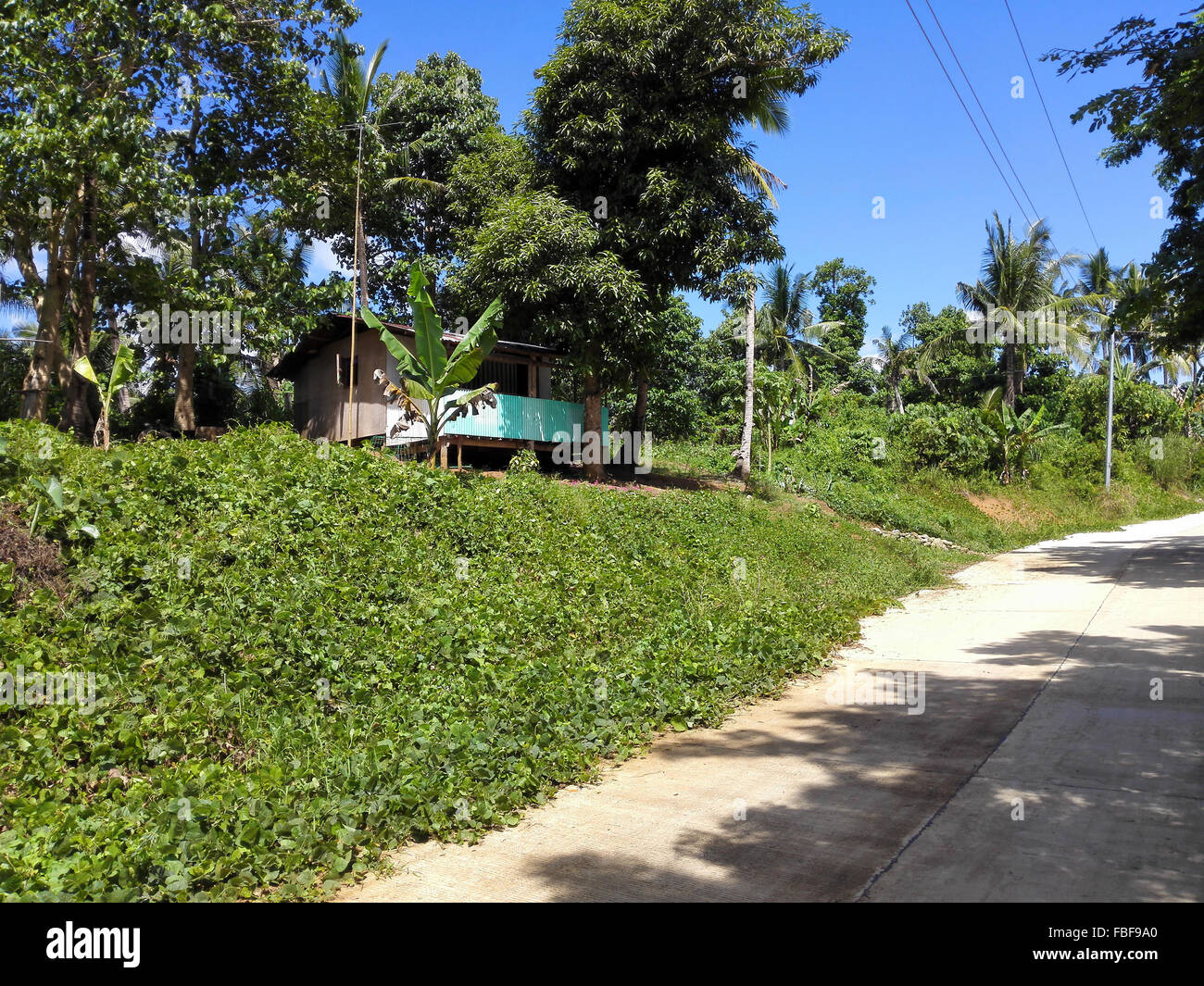 Philippinen Leyte allgemeine unbefestigte Straße durch die Hügel Adrian Baker Stockfoto