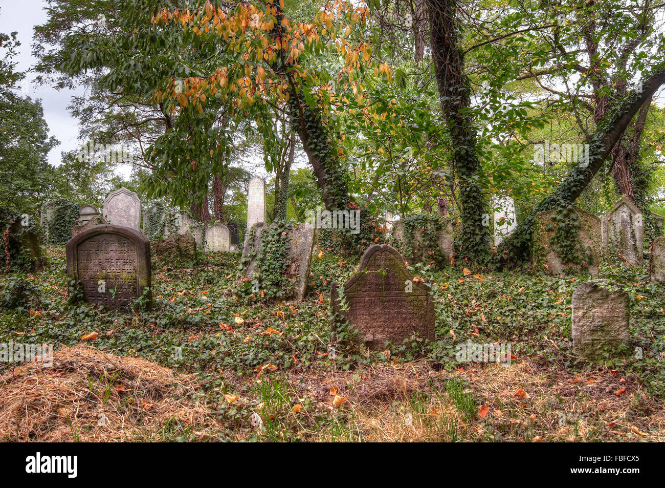 Alter jüdischer Friedhof bei Kolin Stockfoto