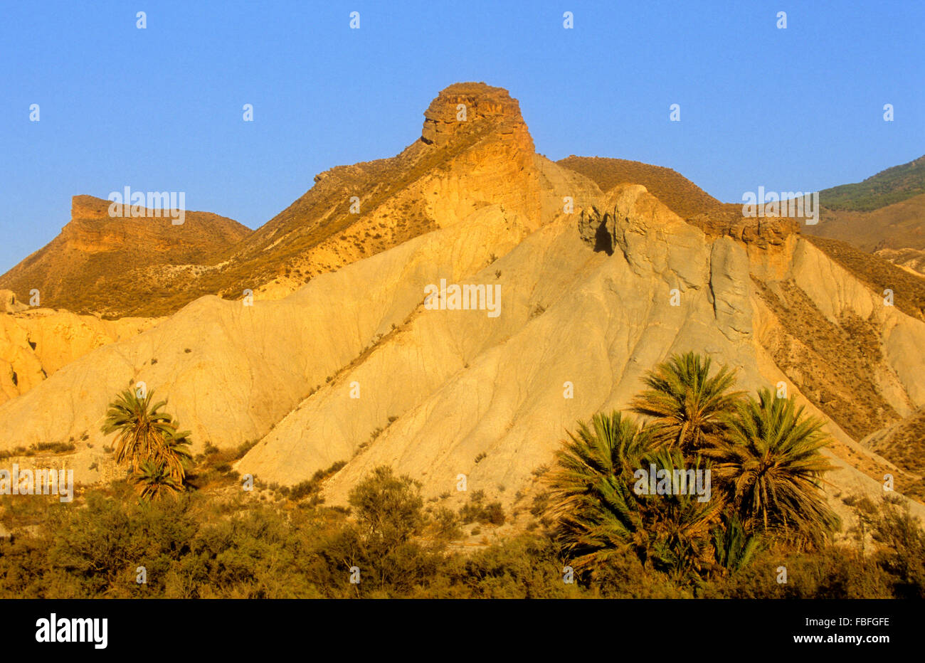 Tabernas oase Fotos und Bildmaterial in hoher Auflösung Alamy
