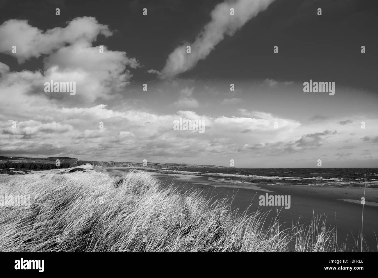 East Coast Schottland, England, Foto im Februar mit windigen Wetter. Stockfoto