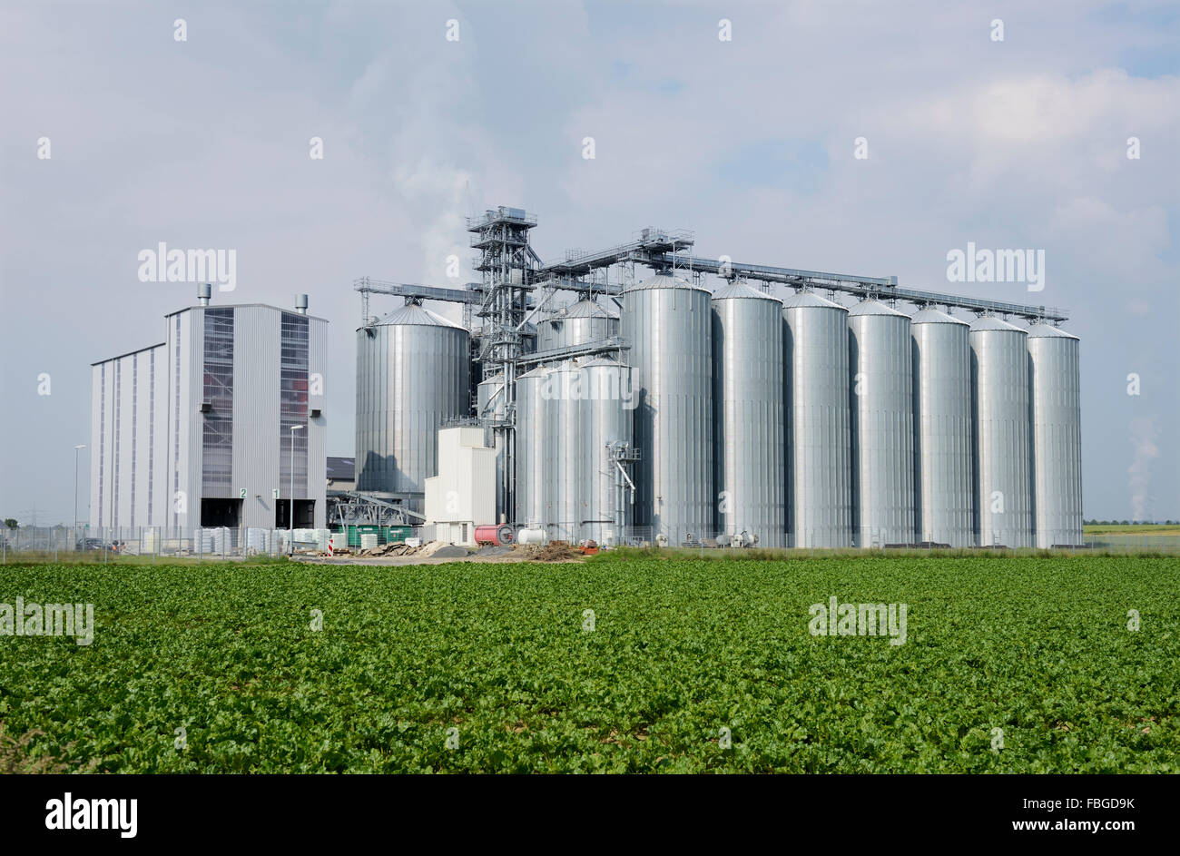 Neue Silos eine landwirtschaftliche Genossenschaft, Deutschland, Nordrhein-Westfalen, Neuss Stockfoto