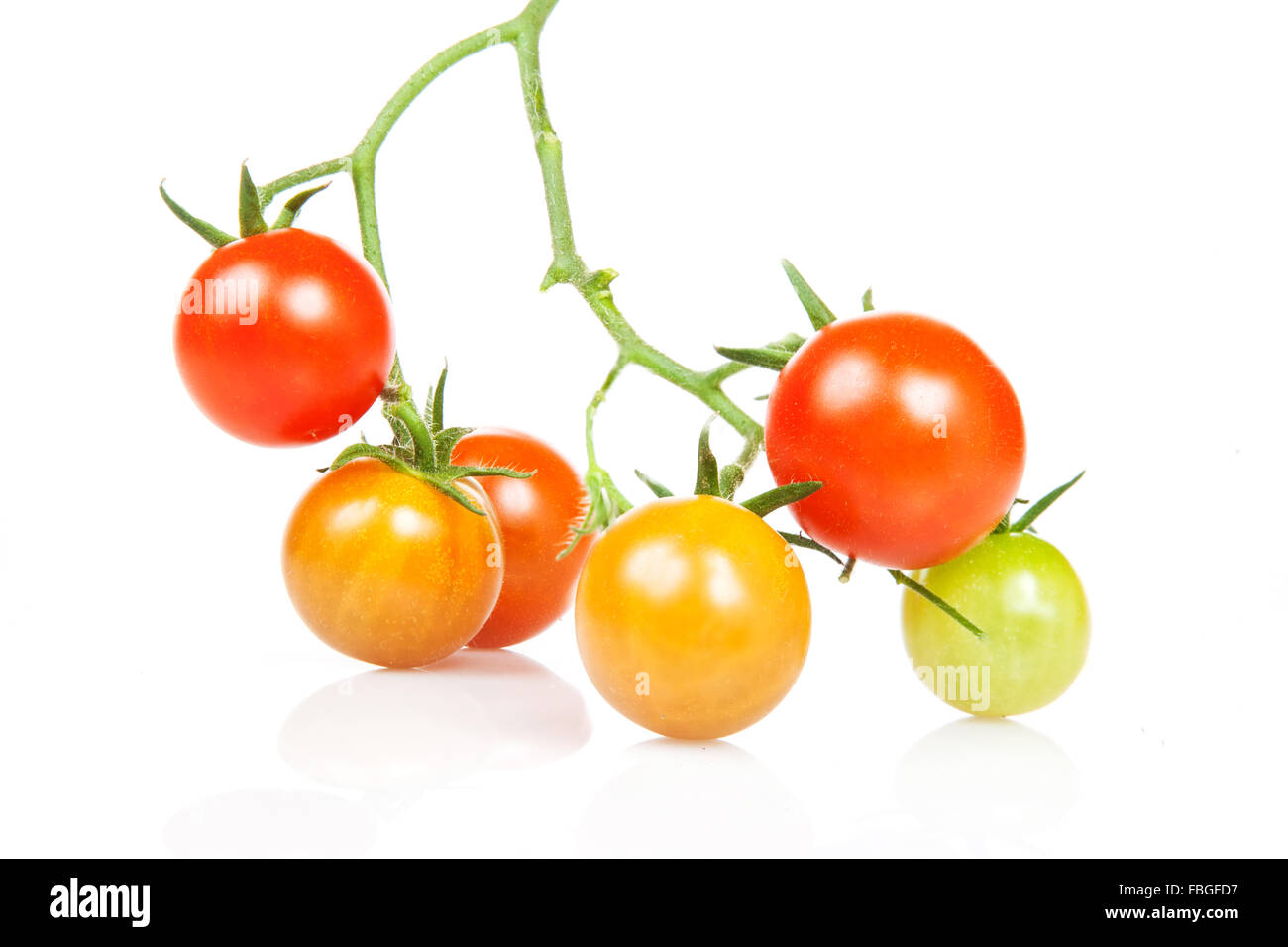 Roter Zweig Tomaten Stockfoto