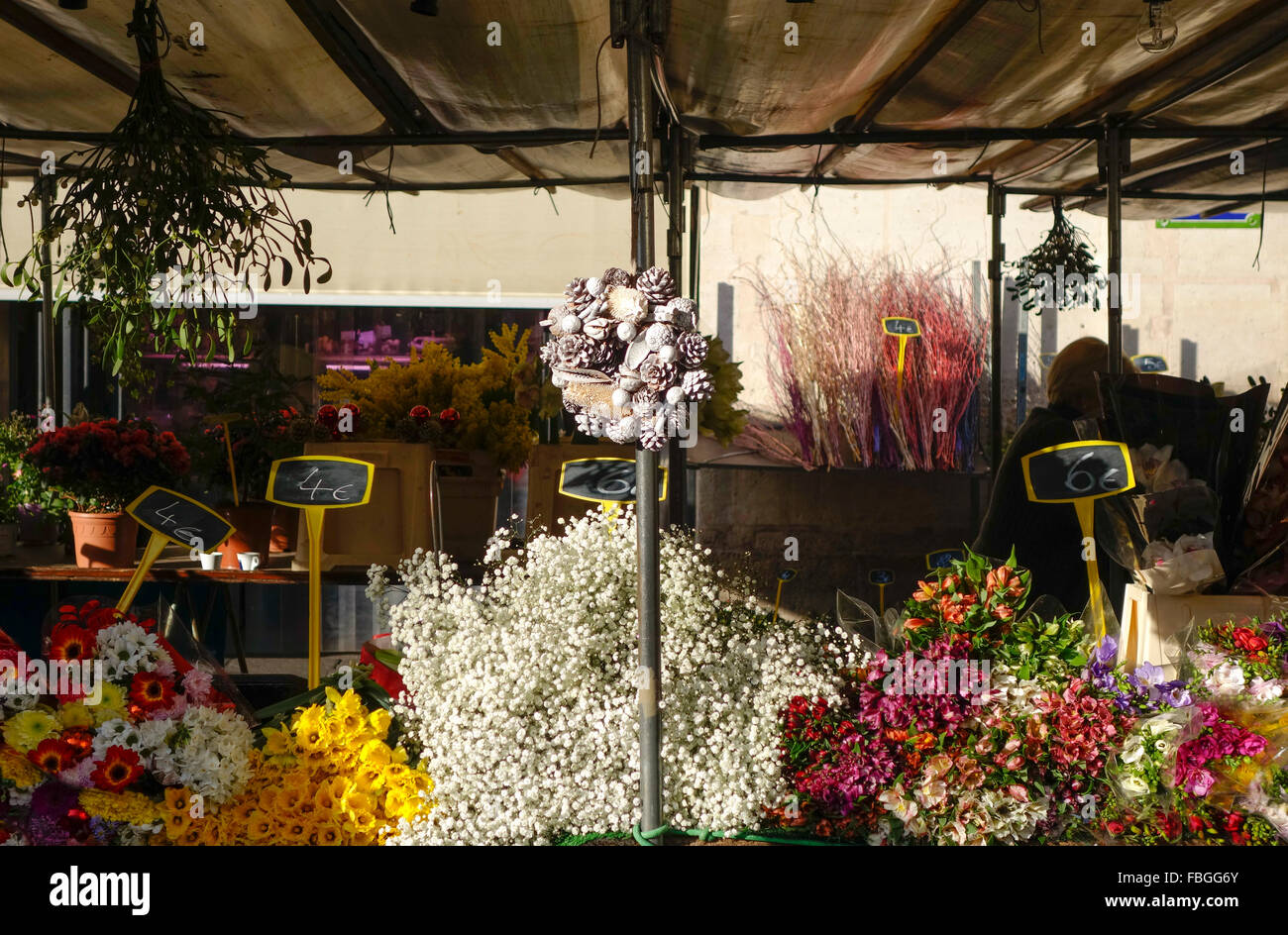 Blume-Stall mit Blumen auf dem Display auf dem Markt am Ort d'aligre, einen lebhaften Markt auf dem Platz Aligre. Paris, Frankreich. Stockfoto