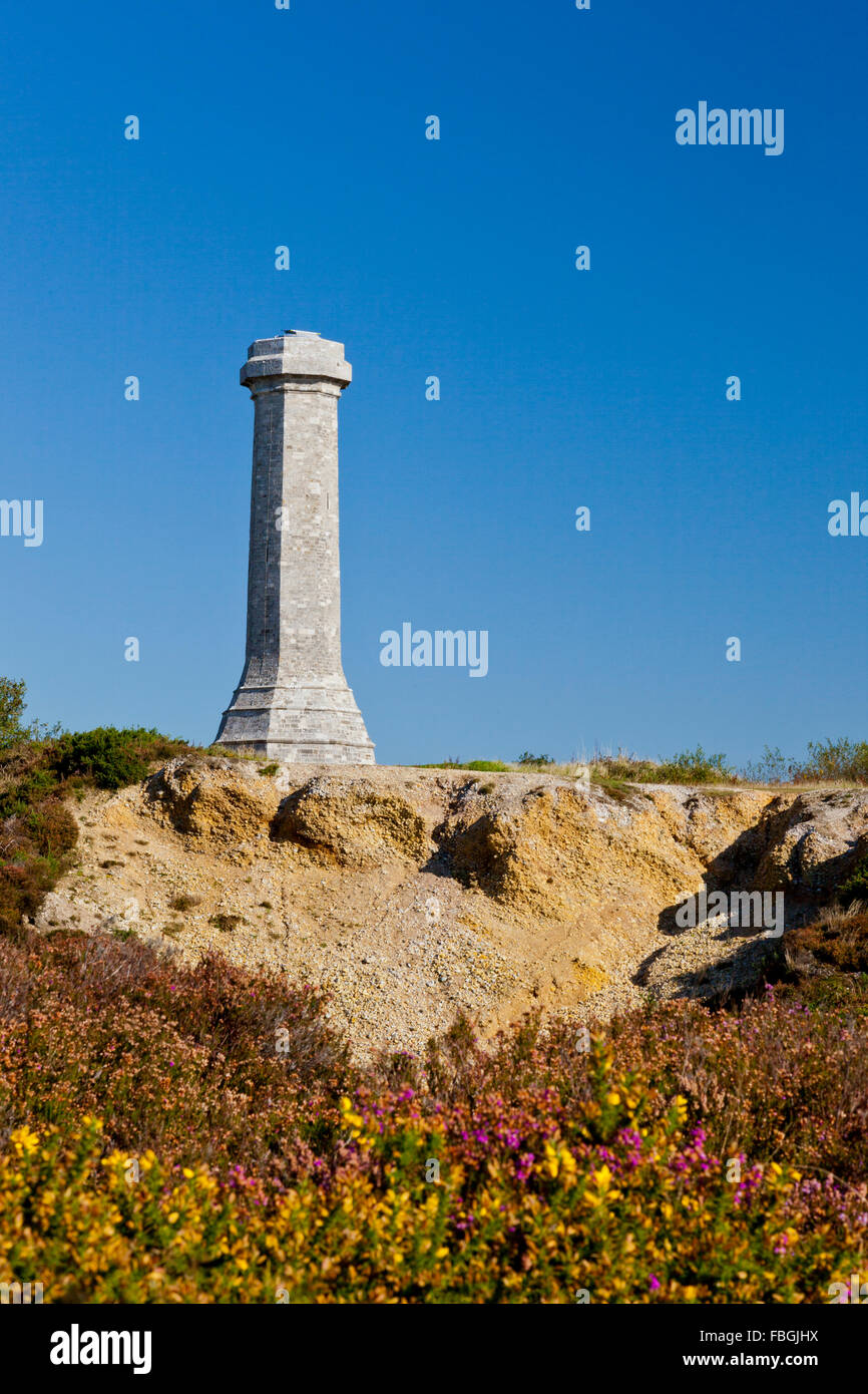 1844 Turm an Black Down, Dorset in Erinnerung an Vizeadmiral Sir Thomas Masterman Hardy der HMS Victory in der Schlacht von Trafalgar Stockfoto