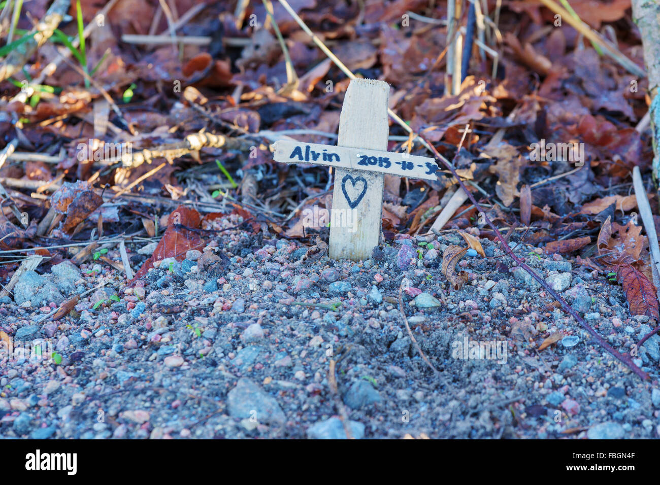 Karlskrona, Schweden - 13. Januar 2016: Ein kleines Haustier Grab mit einem Kreuz. Haustiere hieß Alvin. Herz ist gemalt, am Kreuz. Kies-co Stockfoto
