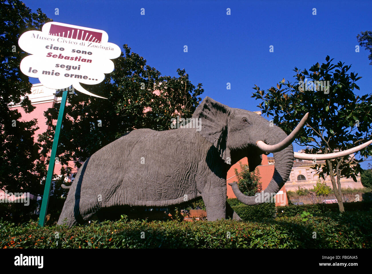 Statue des afrikanischen Elefanten (Loxodonta Africana) in der Nähe der Zoologie-Museum an der Bioparco Rom, Italien Stockfoto