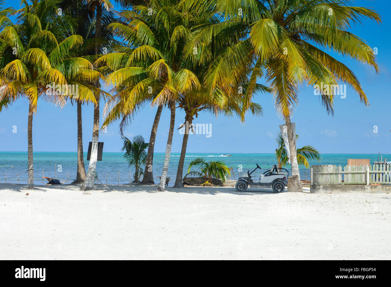 Der weiße Sand und Palmen Bäume der Insel Caye Caulker, Belize Stockfoto