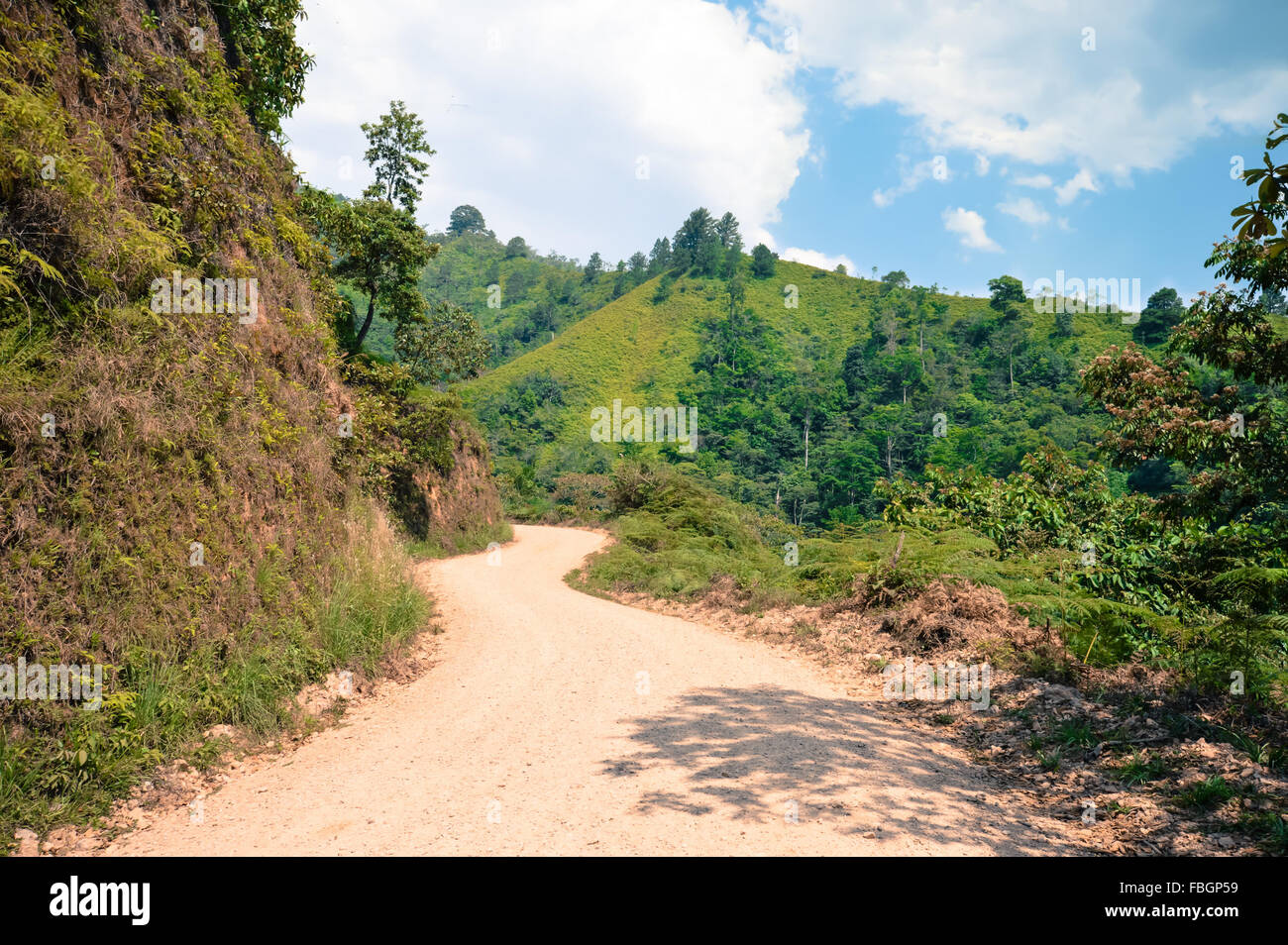 Landschaften rund um das Hochland von Taulabe und Cerro Azul National Park in der Nähe von Lake de Yojoa in Honduras Stockfoto