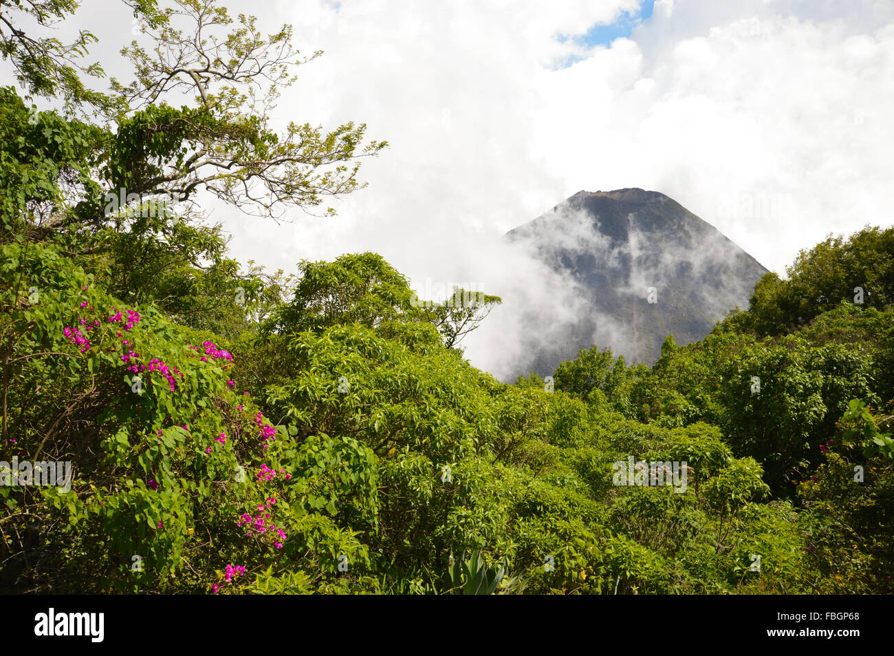 Der perfekte Höhepunkt der aktiv und jung Izalco Vulkans gesehen aus der Sicht im Nationalpark Cerro Verde, El Salvador Stockfoto