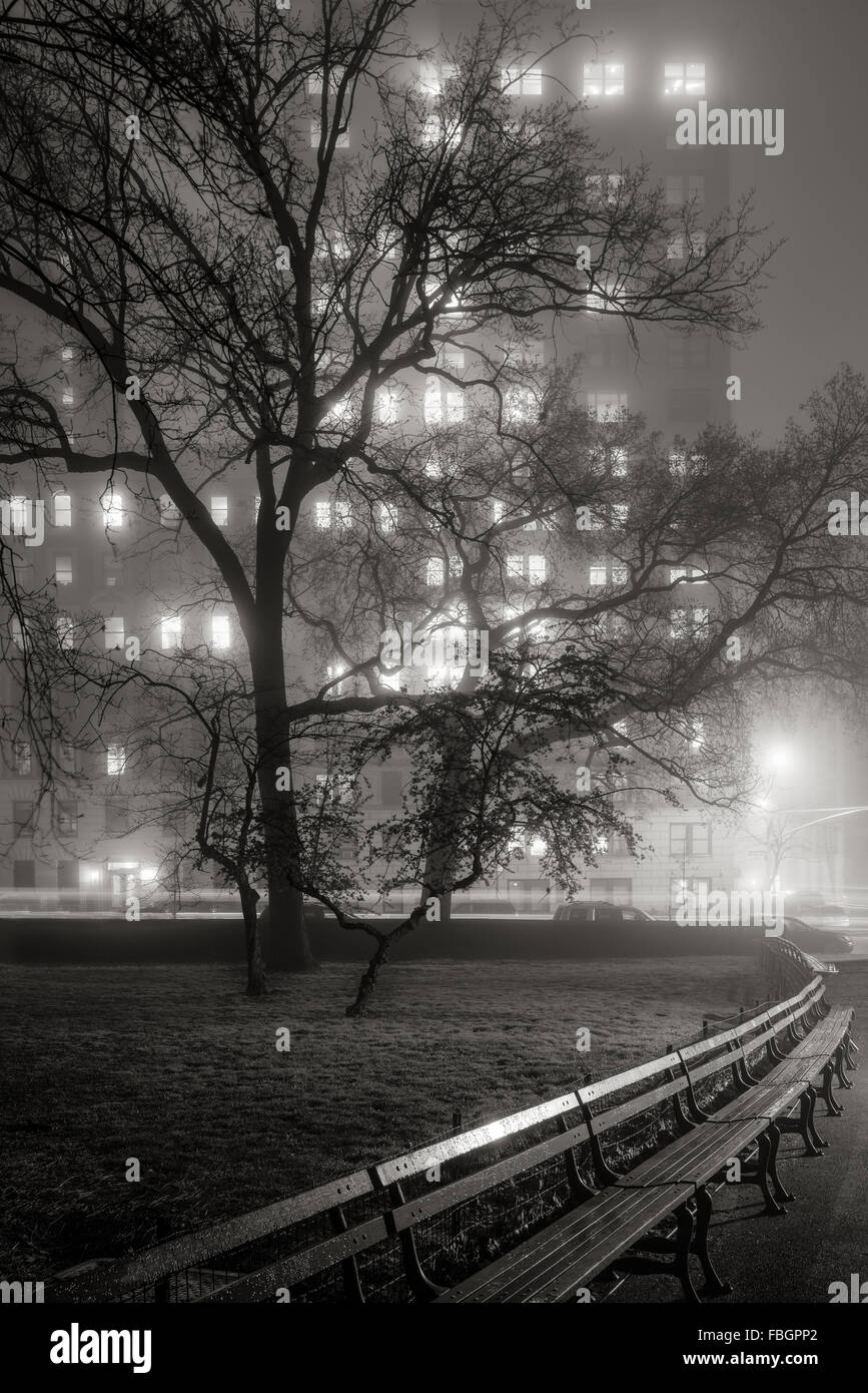 Nebel im Central Park in der Nacht. Bäume werden Silhouetten, beleuchtet von den Hochhäusern der Upper West Side. Manhattan, New York City Stockfoto