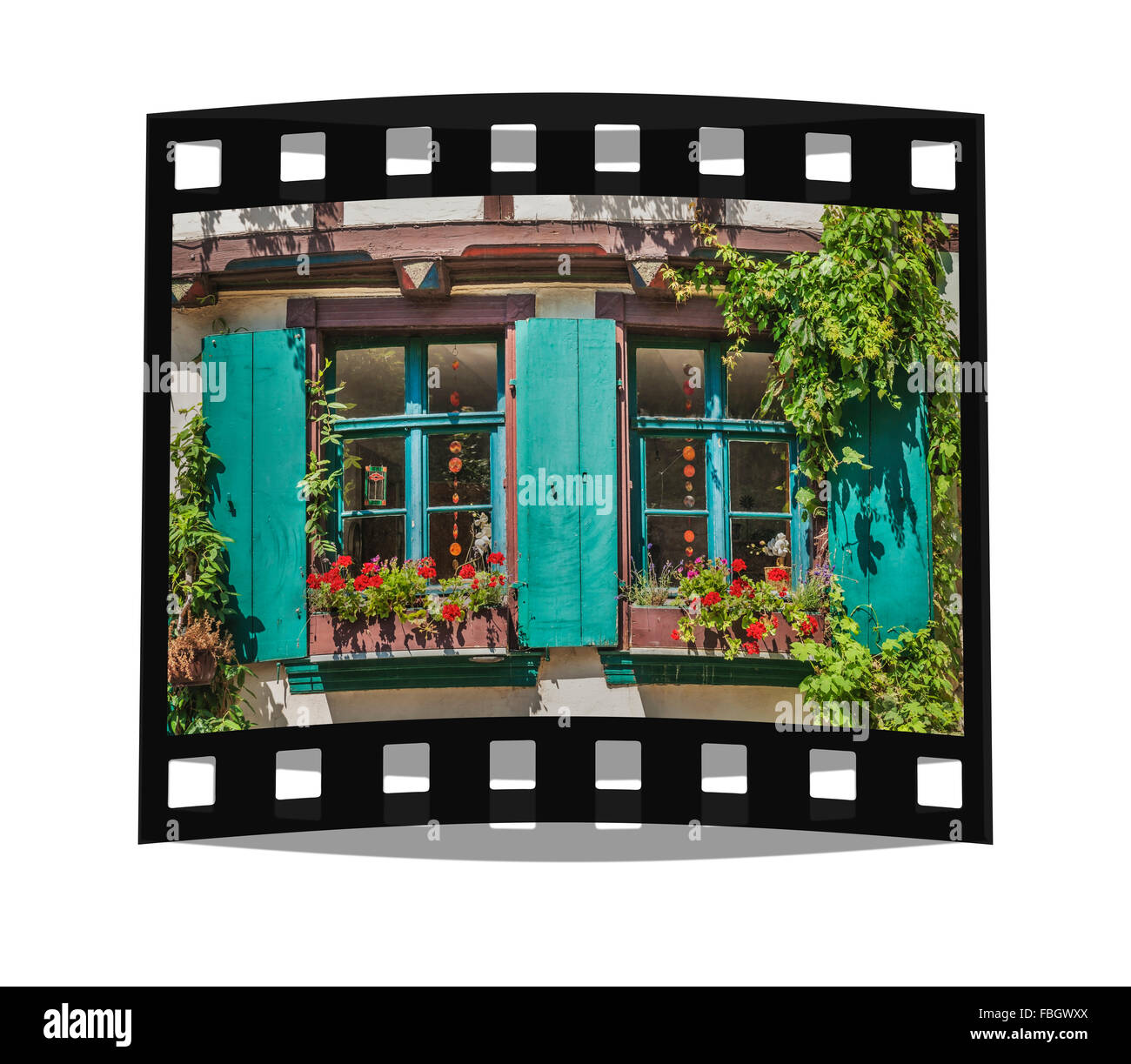 Concave Flower Stockfotos Concave Flower Bilder Alamy