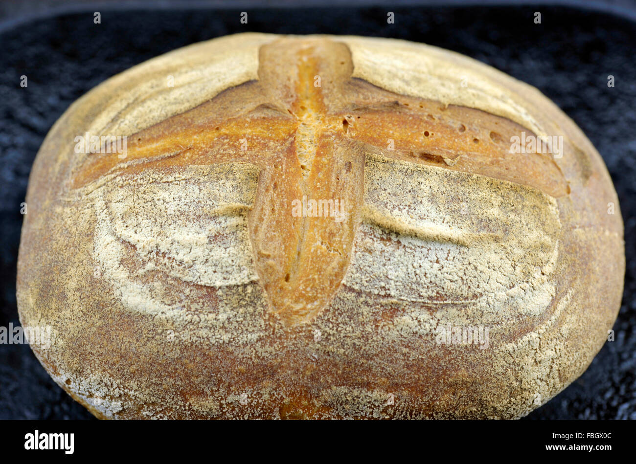 Crusty Sauerteig runden Laib Brot. Stockfoto