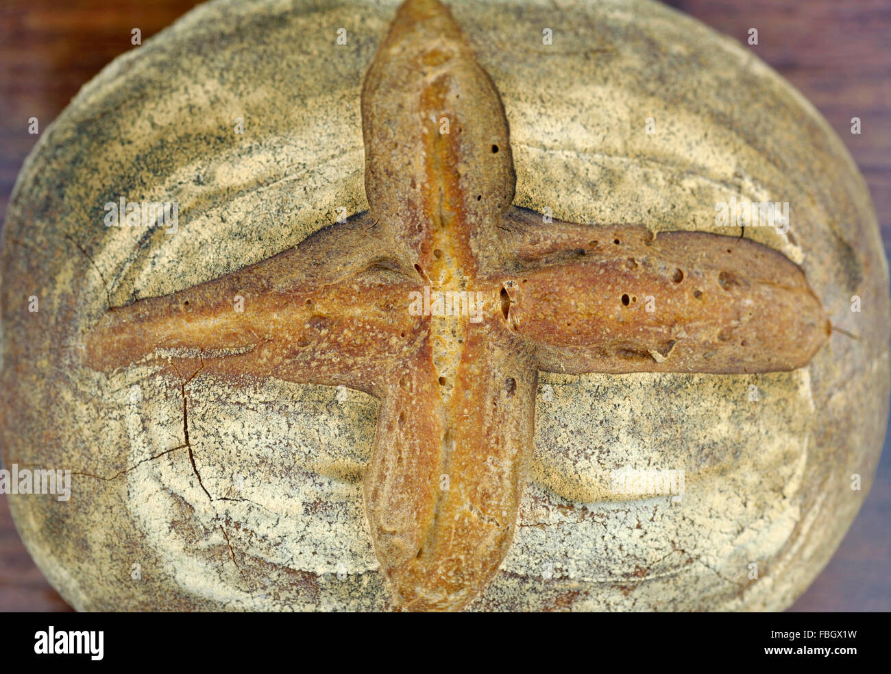 Crusty Sauerteig runden Laib Brot. Stockfoto