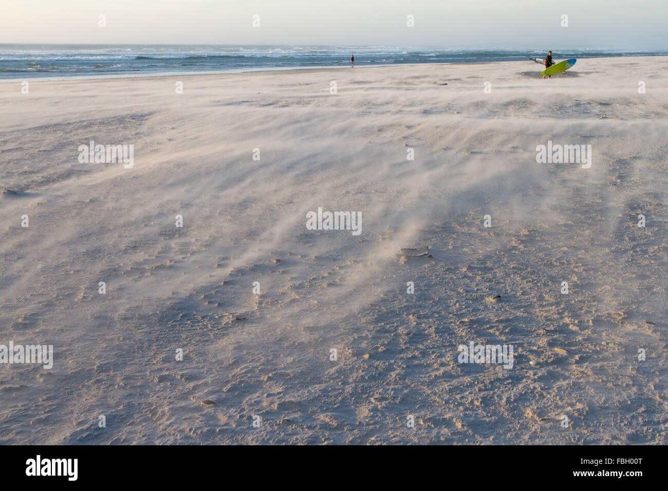 Starker Wind bläst Sand über den Strand. Stockfoto