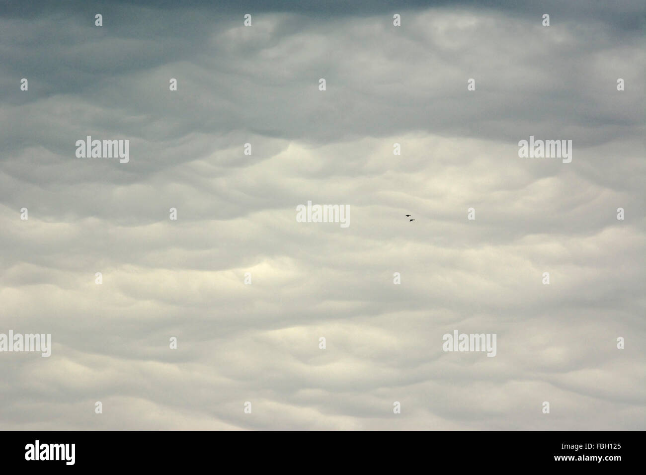 Geschichteten Wolken an einem regnerischen Tag mit zwei Enten fliegen über den Himmel. Stockfoto